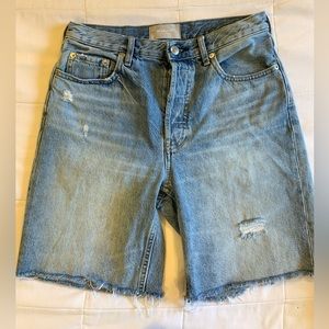 Everlane cheeky long short